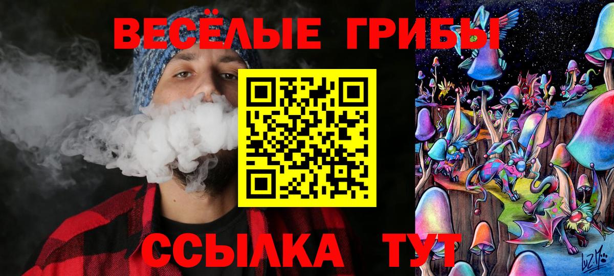 Псилоцибиновые грибы GOLDEN TEACHER Амурск